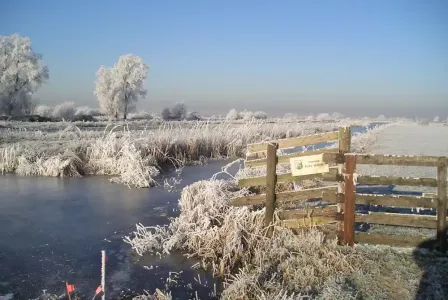 polder in de winter